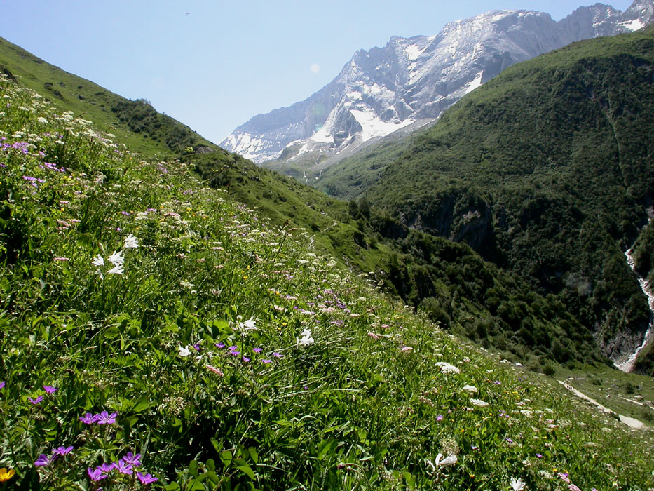 Chemin menant au refuge de la Gli&egrave;re &agrave; partir de la haute vall&eacute;e de Champagny