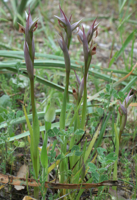 La Favière 26 04 07