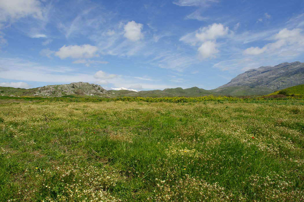 Kassou Campos Spilli 220411 (225)