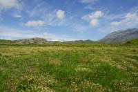 Kassou Campos Spilli 220411 (225)